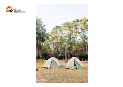 Contro il caro affitti le tende spuntano anche davanti alla Sapienza di Roma. "Senza casa, senza futuro".