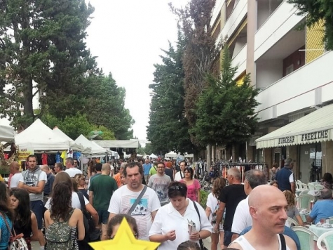 Pineto 19ª edizione di “Pineto in Fiera”