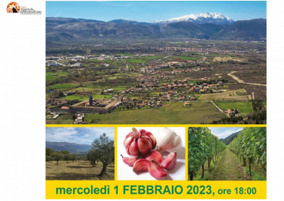 L'Aquila, nuovi scenari per il settore agricolo: cereali, vino e aglio rosso di Sulmona