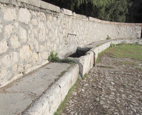 fonte vetica
