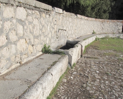 fonte vetica