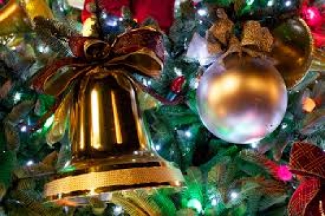 Natale. A Pianella l'albero più grande d'Abruzzo