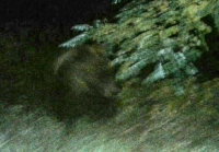 foto provincia Pescara dell'Orso