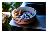 Giornata Mondiale Senza Tabacco: un impegno per la salute di tutti