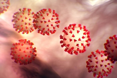 Coronavirus. 7 nuovi positivi in Abruzzo