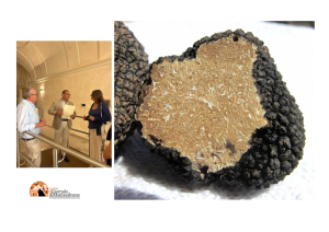 L'Aquila. 7 Paesi al 2º Convegno Internazionale sul Tartufo
