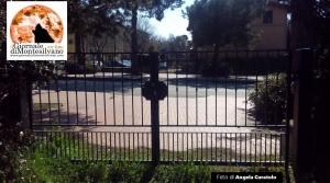 Parco della LIbertà