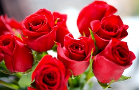 Stalking.Regalare mazzo di fiori può esserlo