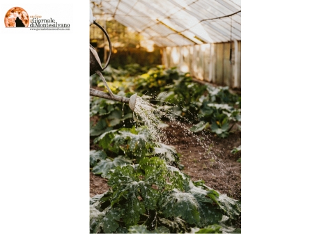 Ortona/siccità. Urgono misure urgenti.