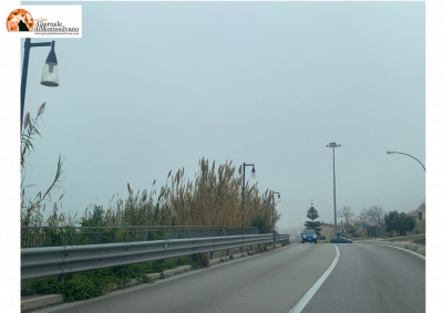 Grande Partenza del Giro d’Italia, sindaci chiedono : SS16 panoramica
