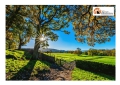 Pineto. “Tour delle fattorie” per sensibilizzare al mangiar sano