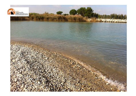 Dalla Regione € 47.869,23 per la messa in sicurezza Fiume Saline a Montesilvano.