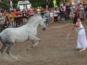 Festa del Contadino, appuntamento al 2017