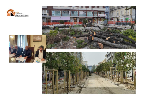 Pescara/verde: in 5 anni piantumati 4.748 alberi e abbattuti 2.471