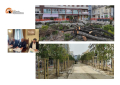 Pescara/verde: in 5 anni piantumati 4.748 alberi e abbattuti 2.471