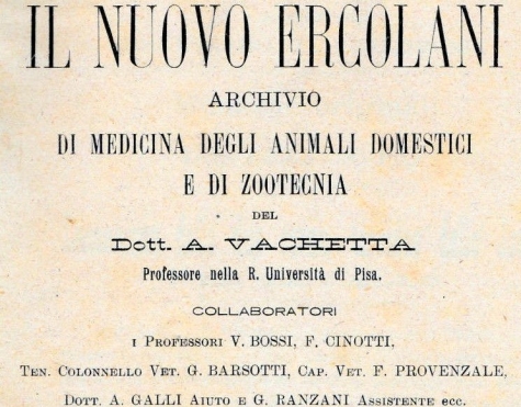 Catignano, la storia di un grande veterinario militare e coraggioso combattente