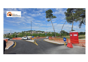 Pescara, il futuro della Pineta Dannunziana: piantumazione di circa cento pini marittimi