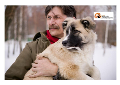 Cani aiutano a salvare la memoria degli over 50