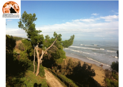 spiaggia torre Cerrano