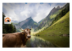Calascio, nasce la scuola di perfezionamento per la pastorizia estensiva