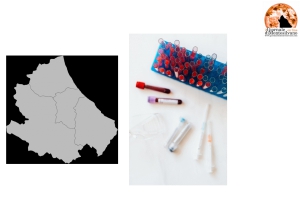 Abruzzo/coronavirus. 227 nuovi positivi e 10 decessi.