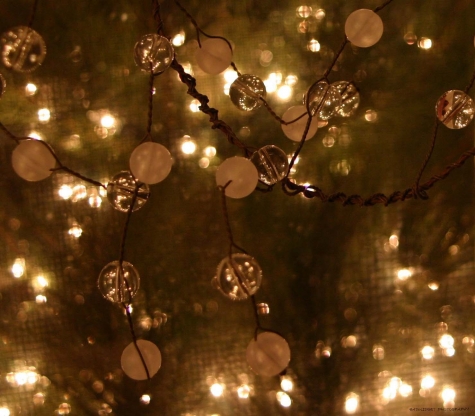 Natale 2015: Pineto rispende grazie alle luminarie