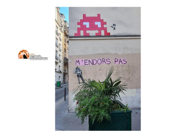 Graffiti femminista: non sedatemi.
