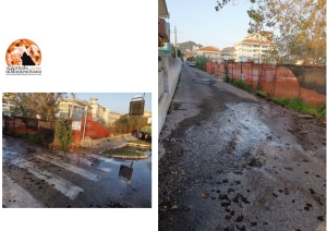 le foto di Alfredo di Blasio