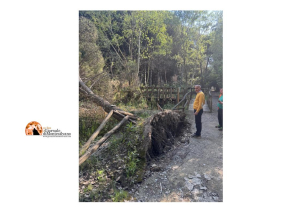 Pescara/Venerdì riaprono i comparti 3 e 4 della Pineta, il 2 rimane chiuso.