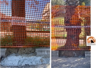 Il Co.n.al.pa. Pescara-Chieti: "Violato lo spazio vitale degli alberi della Strada Parco"