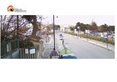 Montesilvano/abbandono rifiuti, 28 multe