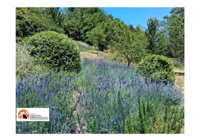 Passeggiata nel giardino delle lavande al Parco paesaggistico Lauretum (PE).