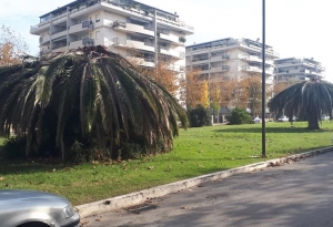 Montesilvano. Giardini mediterranei davanti al PalaDeanMartin
