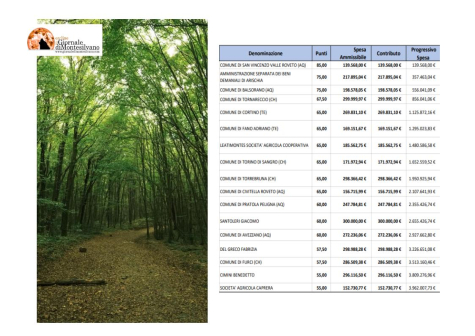 Abruzzo/4 milioni di euro per boschi e foreste, finanziati tutti i progetti