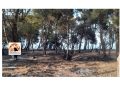 Incendio Rocca San Giovanni: consiglio comunale alla Pinetina è "strumentalizzazione"