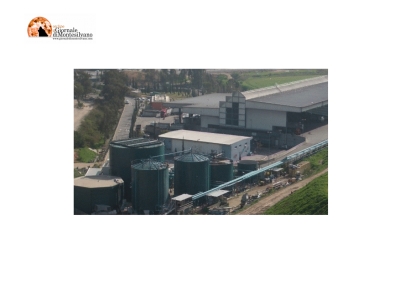 esempio generico di biodigestore