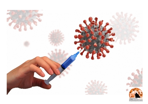 Fossacesia, centro vaccini nella palestra polivalente