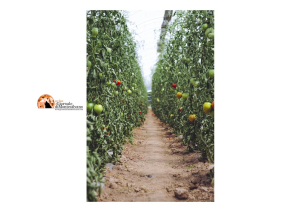 Abruzzo/agricoltura. 8mln di euro per i Consorzi di bonifica regionali.