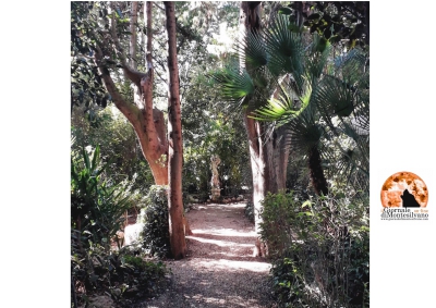 Loreto Aprutino. Al Parco dei Ligustri novità nel giardino botanico.