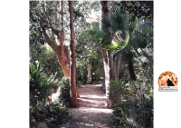 Loreto Aprutino. Al Parco dei Ligustri novità nel giardino botanico.