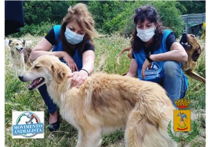Città Sant’Angelo e il Movimento Animalista Abruzzo per gli amici a 4 zampe