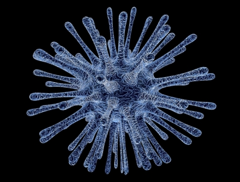 Pescara/Emergenza Coronavirus Protocollo operativo territoriale con Protezione Civile e Asl