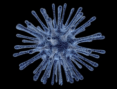 Pescara/Emergenza Coronavirus Protocollo operativo territoriale con Protezione Civile e Asl