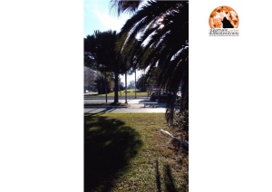 Montesilvano, preghiera Coisp al Parco Adriatico
