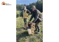 Italcaccia. Immessi 100 fagiani nella provincia di Pescara