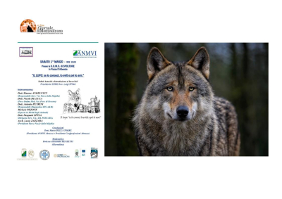 A Spoltore un incontro sul lupo, come evitare i pericoli