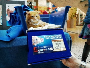 Mickey sopravvissuto ad un incidente.