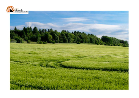 Abruzzo/Agricoltura: Imprudente, finanziate 128 aziende per 38 mln