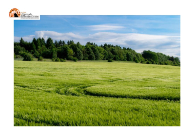 Abruzzo/Agricoltura: Imprudente, finanziate 128 aziende per 38 mln
