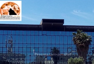 Pescara. Mercatino etnico, nessuno stop, i lavori continueranno lunedì